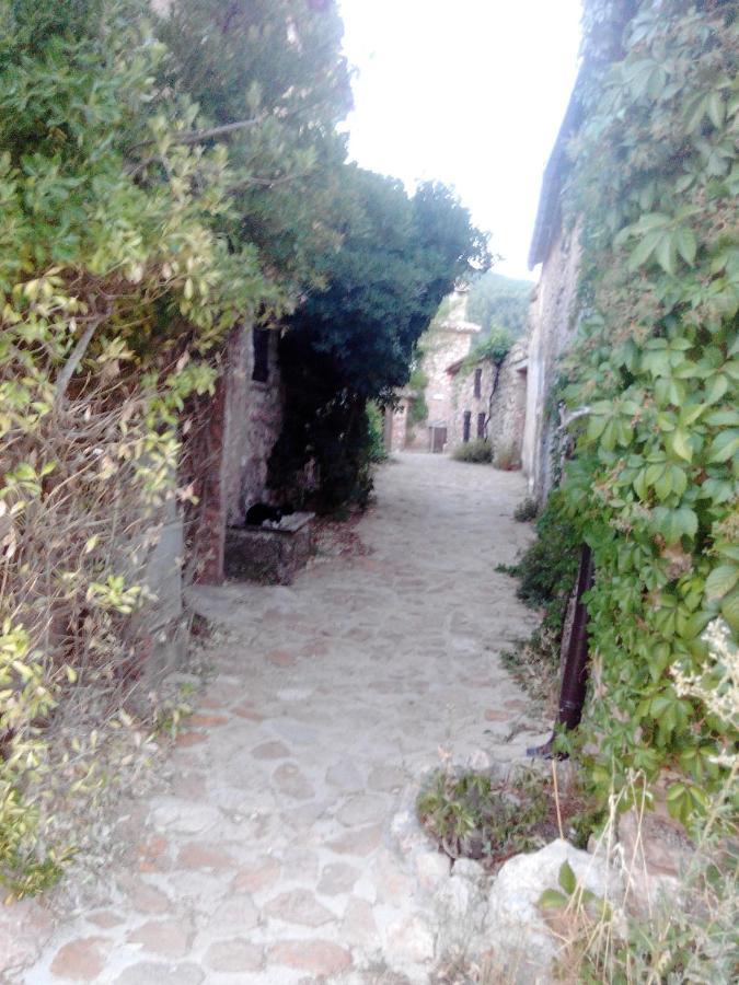 Villa De Montana Parque Natural Calar Del Rio Mundo - Independiente - 4 Dormitorios - 2 Banos Riópar エクステリア 写真